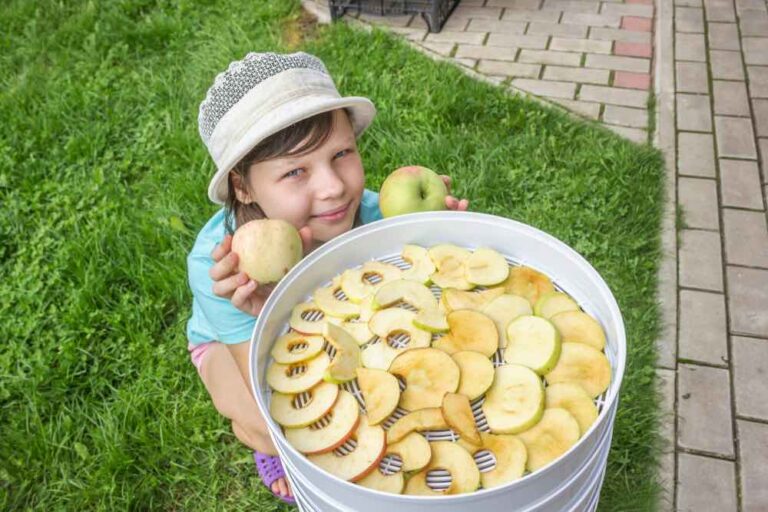 How to Dehydrate Apples Minneopa Orchards