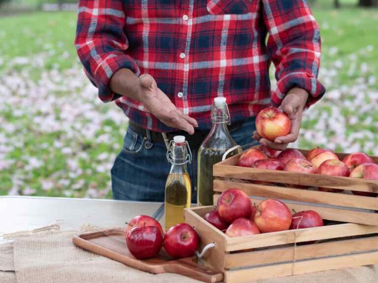All About Red Delicious Apples Minneopa Orchards