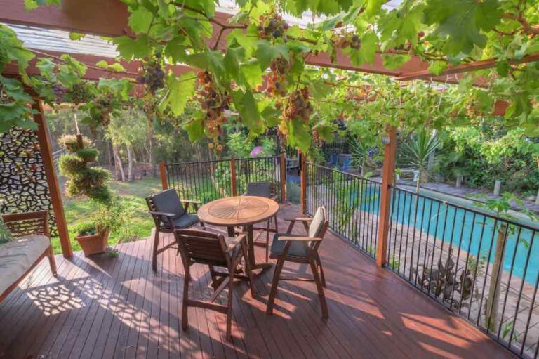 How To Grow Grapes In Your Own Backyard Minneopa Orchards