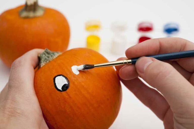 How To Paint Pumpkins Minneopa Orchards