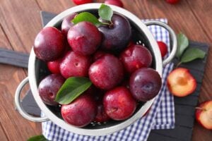 Bowl of Plums on a table