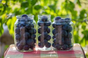 Canning Plums