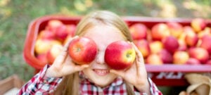 when do apple orchards open 2020 mn