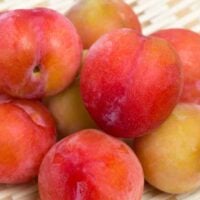 Japanese Plums
