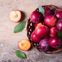 Satsuma Plums