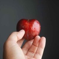 Elephant Heart Plums
