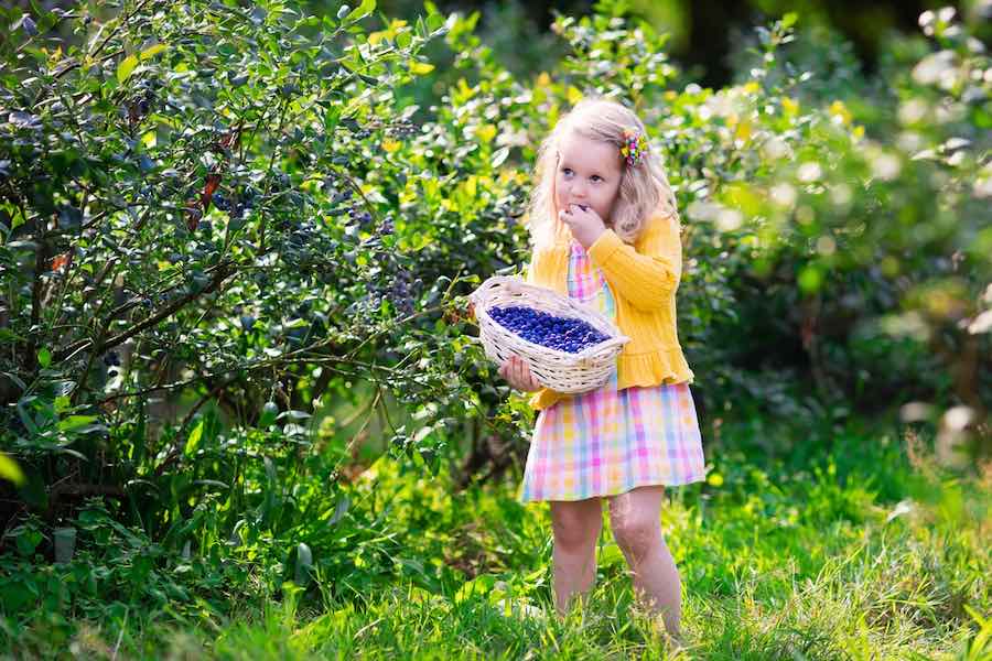 Girl eating blueberries