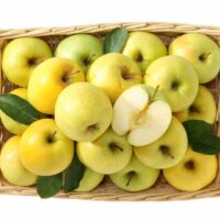 Dorsett Golden Apples