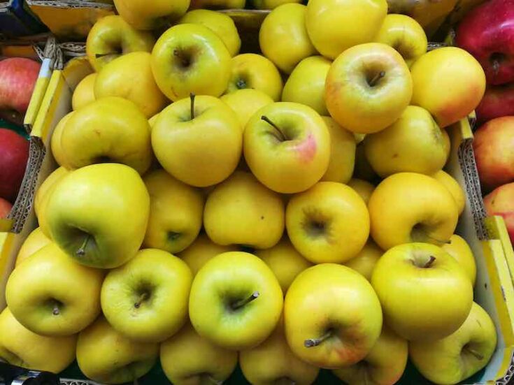All About Gold Rush Apples Minneopa Orchards