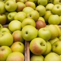 Gold Rush Apples