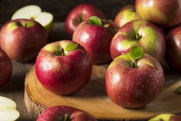 The 11 Best Apples For Apple Pie - Minneopa Orchards