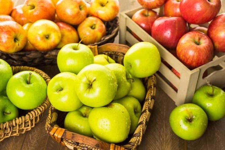 How To Grow 4 In 1 Apple Trees - Minneopa Orchards