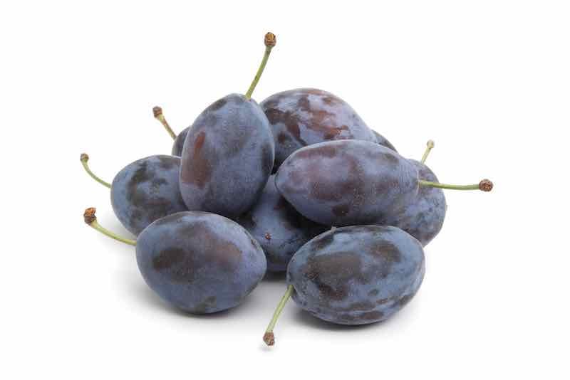 Everything You Need To Know About Damson Plums Minneopa Orchards 