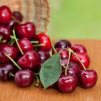 Lambert Cherries
