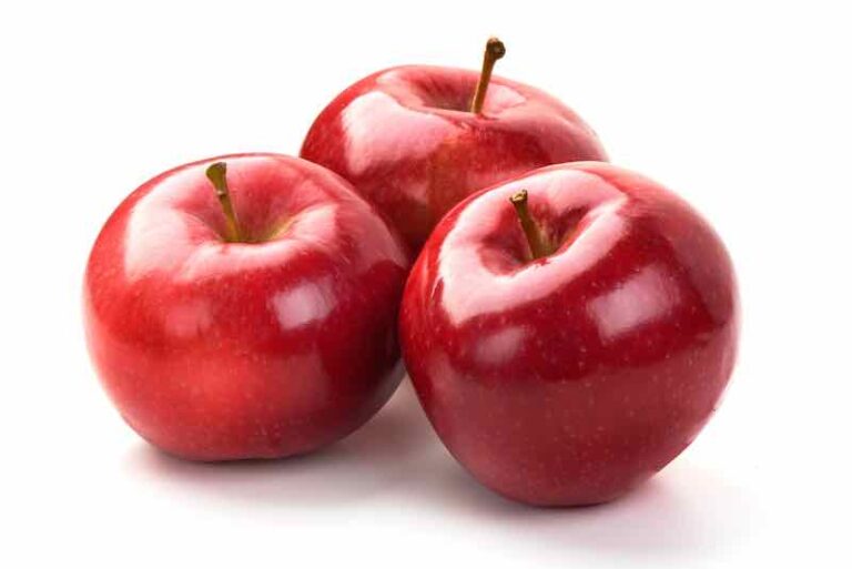 All About Rome Apples the Queen of Baking Apples Minneopa Orchards