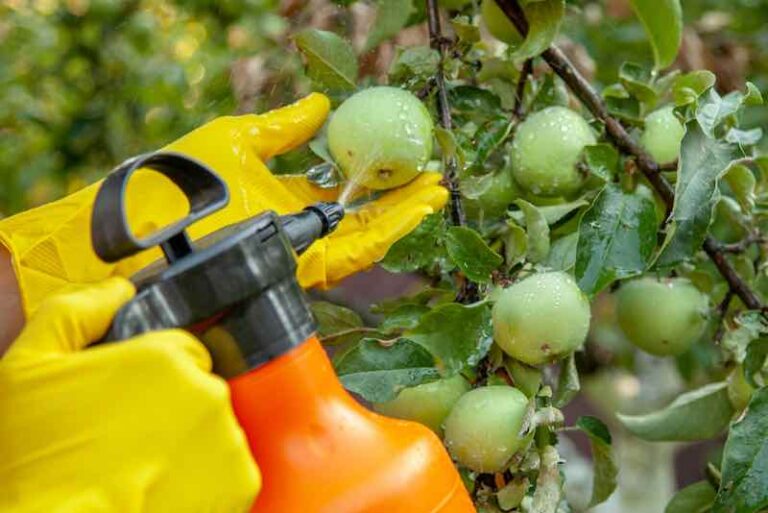 When To Spray Apple Trees Minneopa Orchards