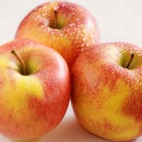 Pinova Apple