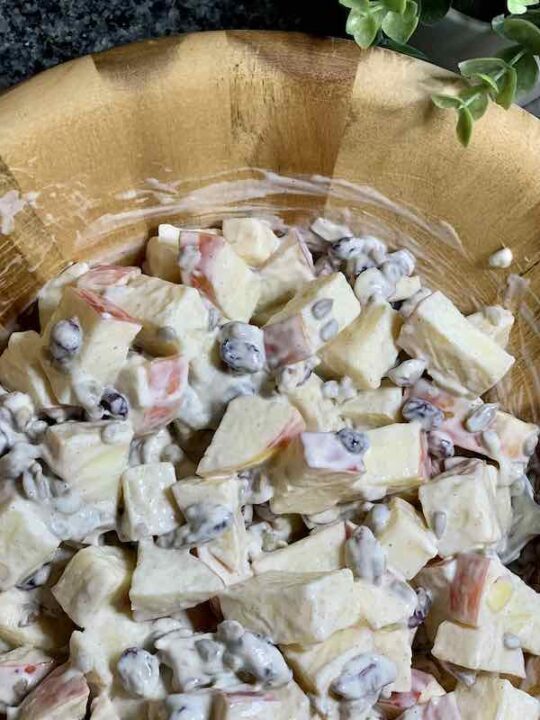 Sweet Cinnamon Apple Salad Minneopa Orchards