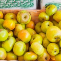 Newtown Pippin Apples