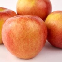 Group of Koru Apples agains white background.