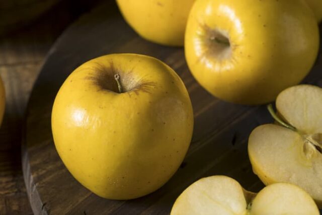 The Opal Apple Tree - Minneopa Orchards