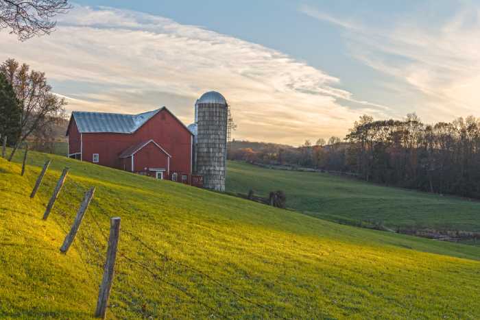 The 18 Best Apple Orchards in New York - Minneopa Orchards