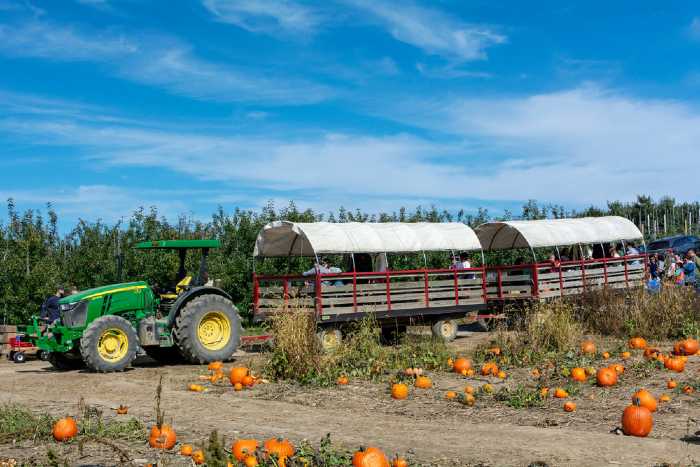 The 18 Best Apple Orchards in New York - Minneopa Orchards