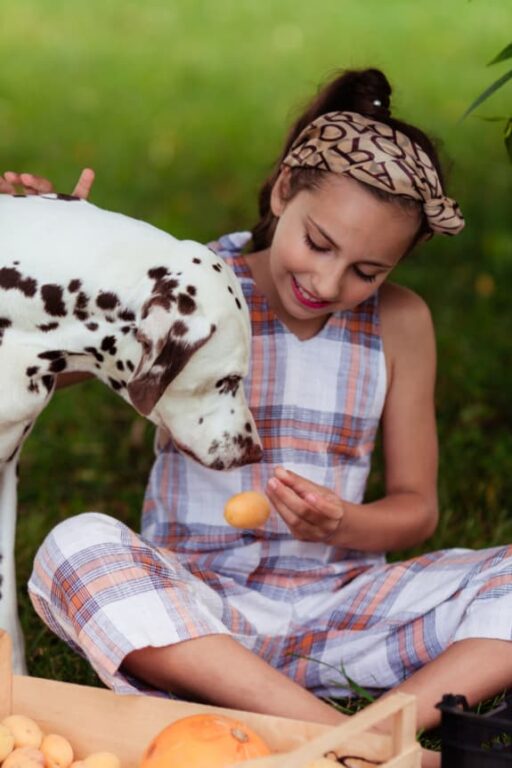 Can Dogs Eat Apricots? Minneopa Orchards