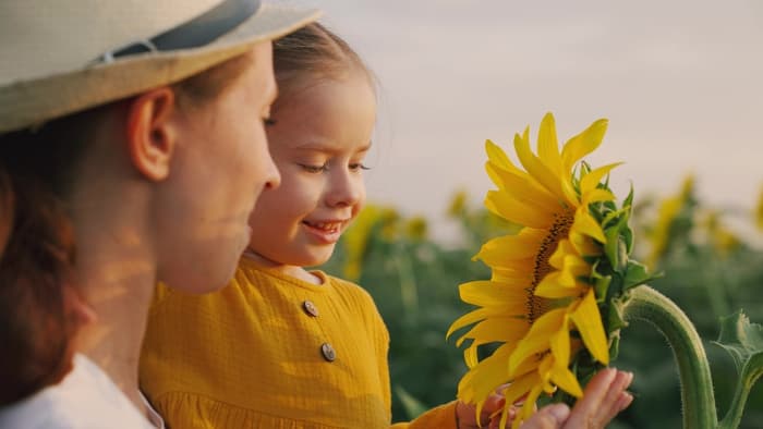Closeup of a woman holding a little girl up to see a large sunflower. Wild sunflowers make for a great photo op at LuceLine Orchard.