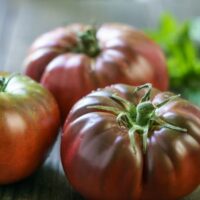 Black Brandywine Tomatoes