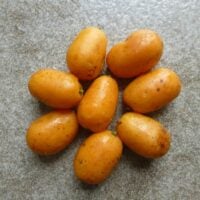 View of hog plums on counter.