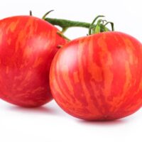 Tigerella Tomatoes.