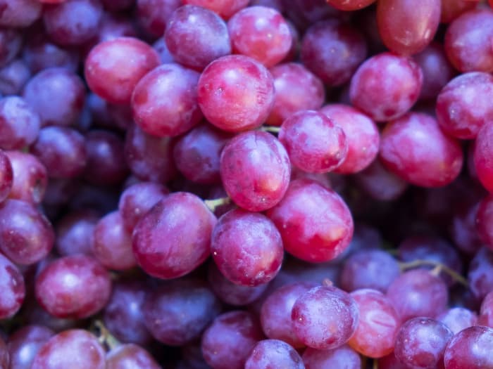 Closeup of red grapes.
