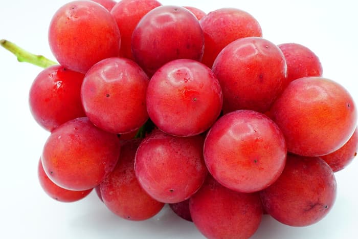 Closeup of a bunch of Ruby Roman grapes.