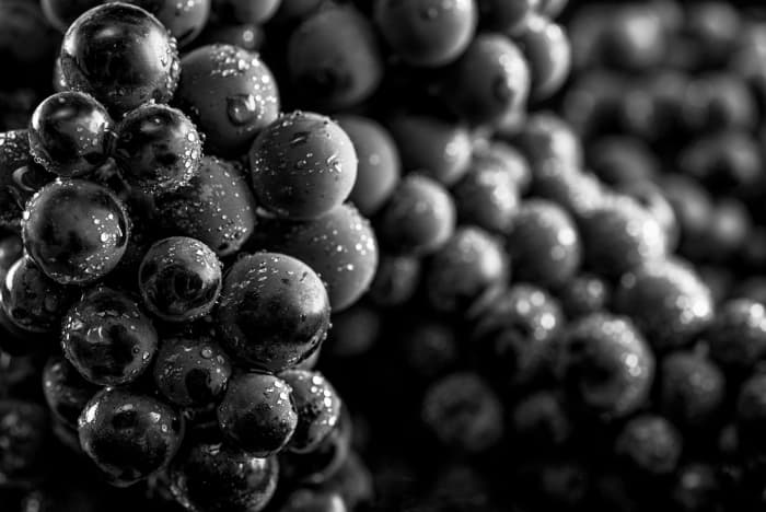 Closeup of harvested bunches of black grapes.