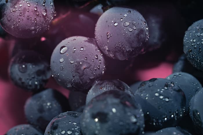 Closeup of Isabella grapes.