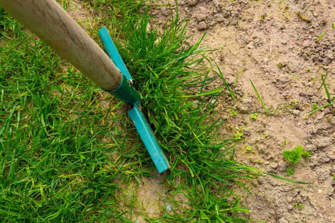 The 4 Best Edging Shovels Elevate Your Landscaping Game Minneopa