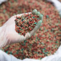 Person holding handful of granular fertilizer mix.