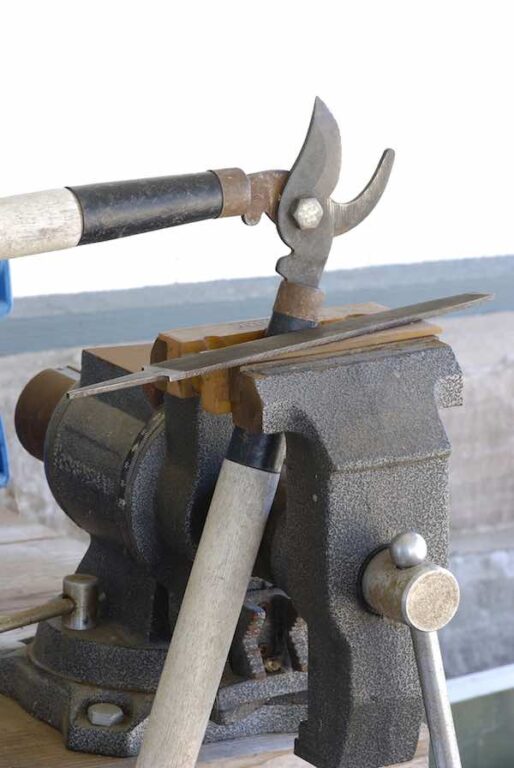 How to Sharpen Pruning Shears in 4 Easy Steps Minneopa Orchards