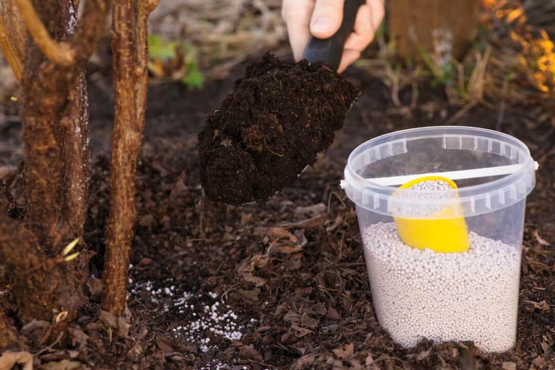 The Best Fertilizer for Apple Trees Minneopa Orchards