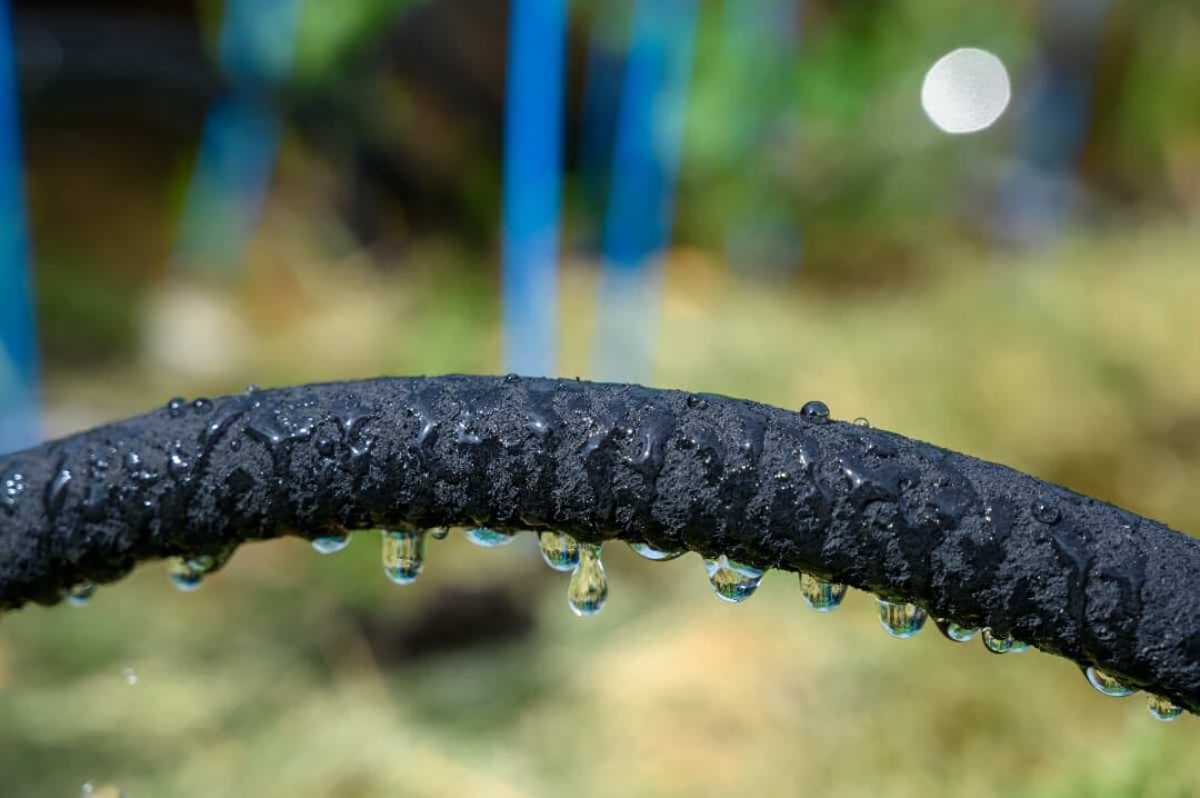 9 of the Best Soaker Hoses for Watering Your Garden Minneopa Orchards