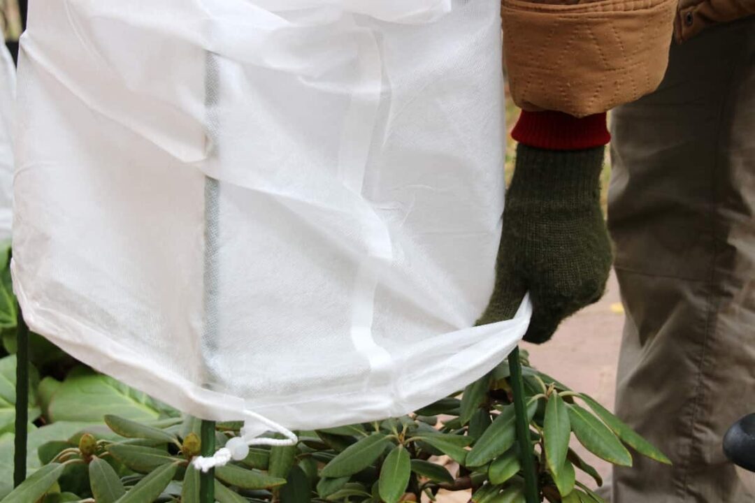 7 of the Best Women's Gardening Pants Minneopa Orchards