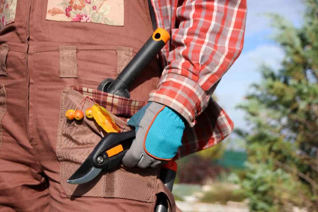 7 of the Best Women's Gardening Pants Minneopa Orchards