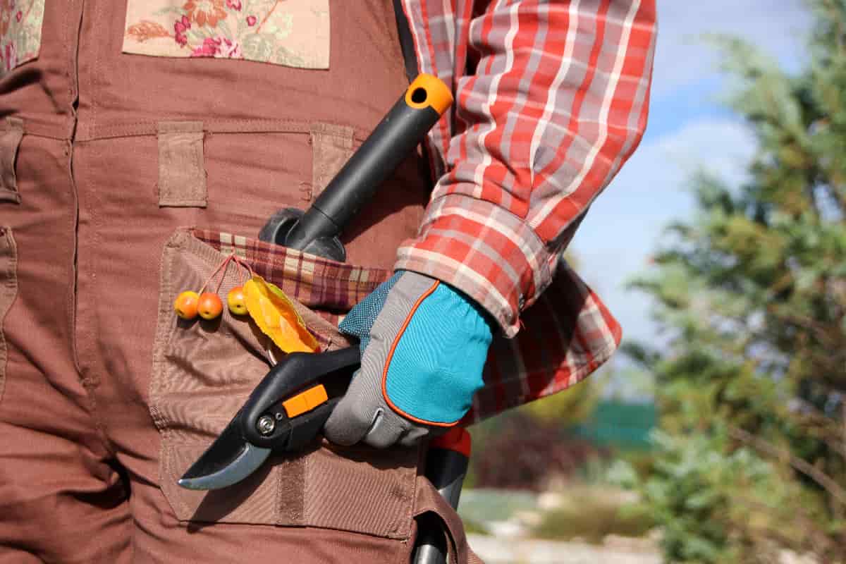 7 of the Best Women's Gardening Pants Minneopa Orchards