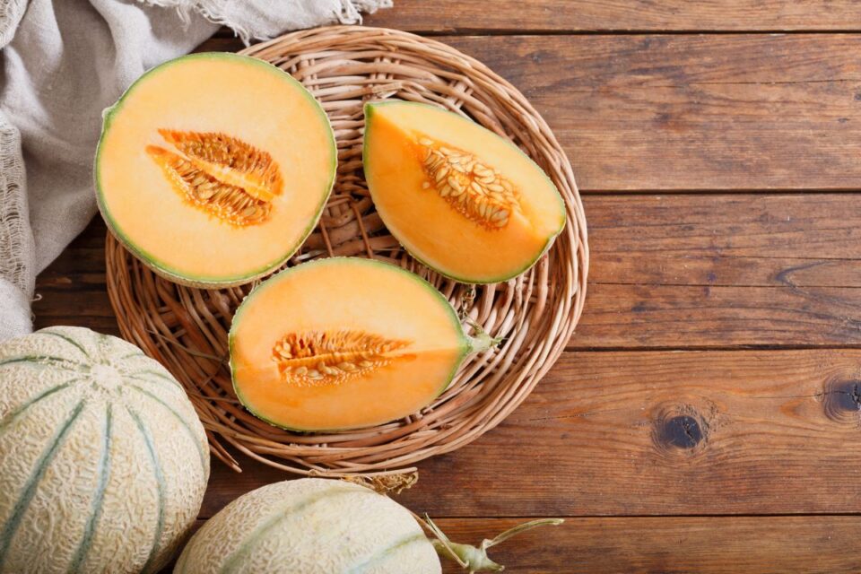Fun Facts About Cantaloupe Nutrition Minneopa Orchards