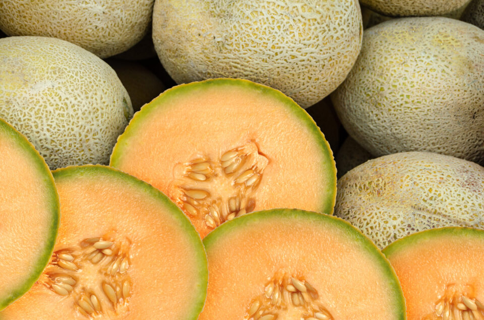Your Questions Finally Answered When is Cantaloupe Season? Why Should
