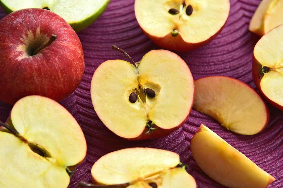 apple tree seedlings