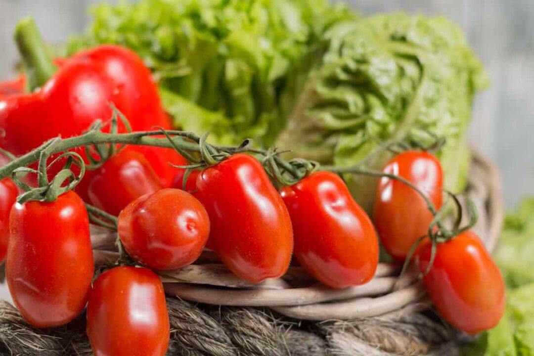 All About Determinate Tomatoes Minneopa Orchards