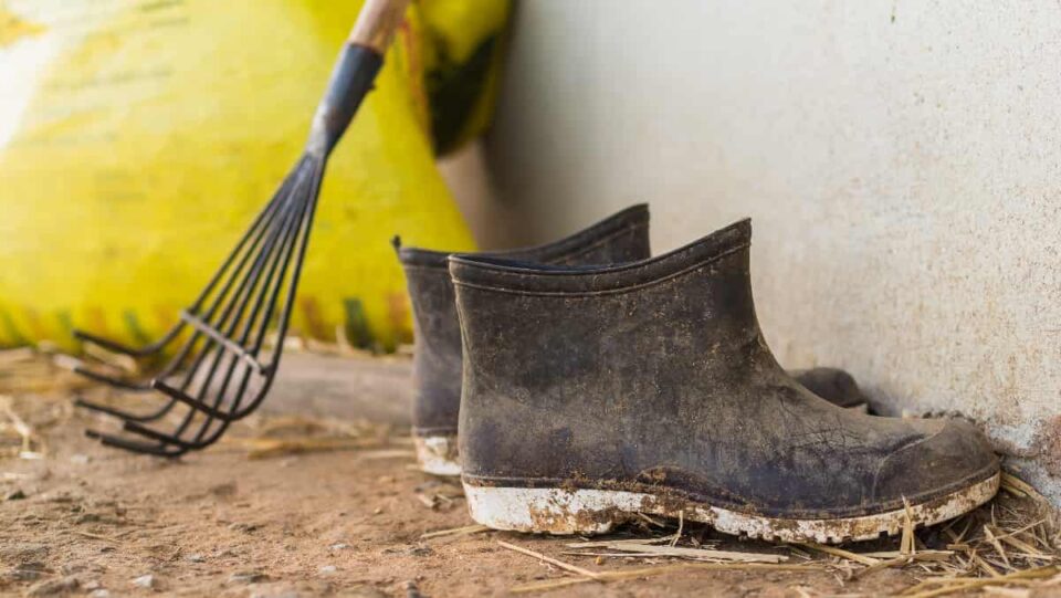 8 of the Best Garden Shoes For Men Minneopa Orchards