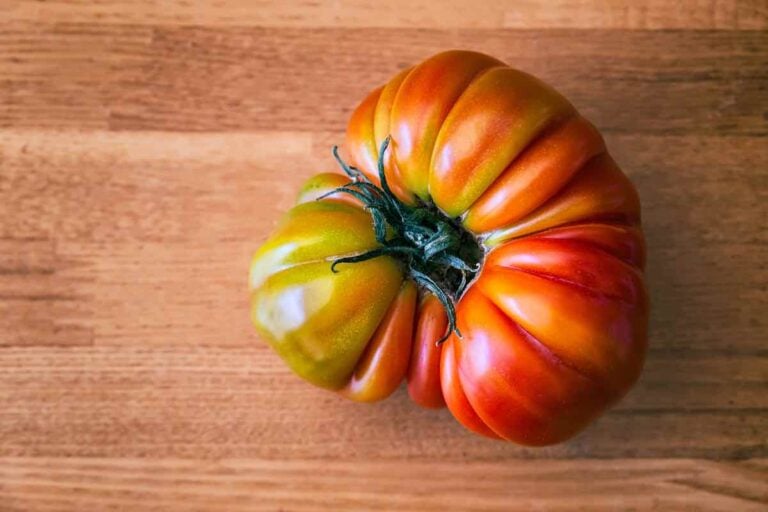 All About Heirloom Tomatoes 5 Things You Need To Know Minneopa Orchards